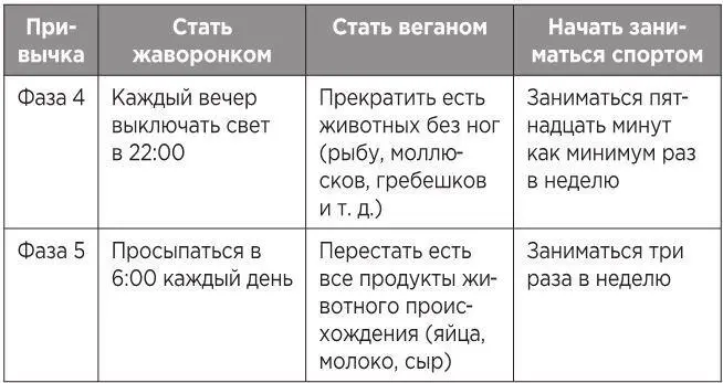 Почти любую жизненную цель можно преобразовать в двухминутный образец - фото 28