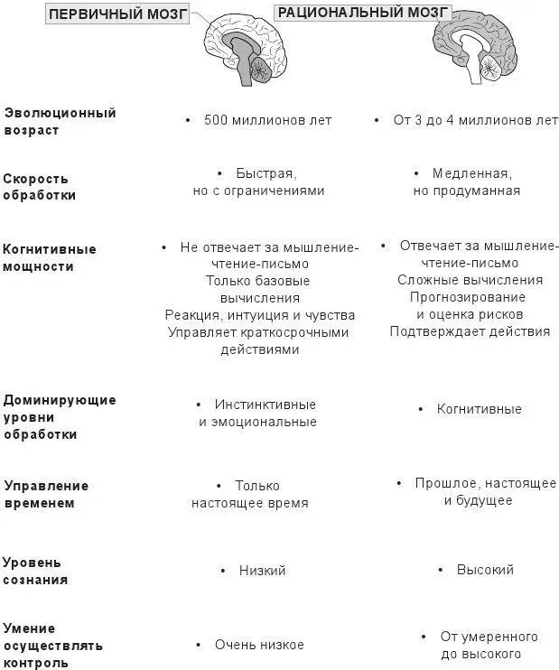 Рис 32Первичный и рациональный мозг Источник SalesBrain Copyright - фото 17