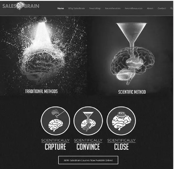 Рис 48Домашняя страница SalesBrain Чтобы заметить всплывающий объект на - фото 37