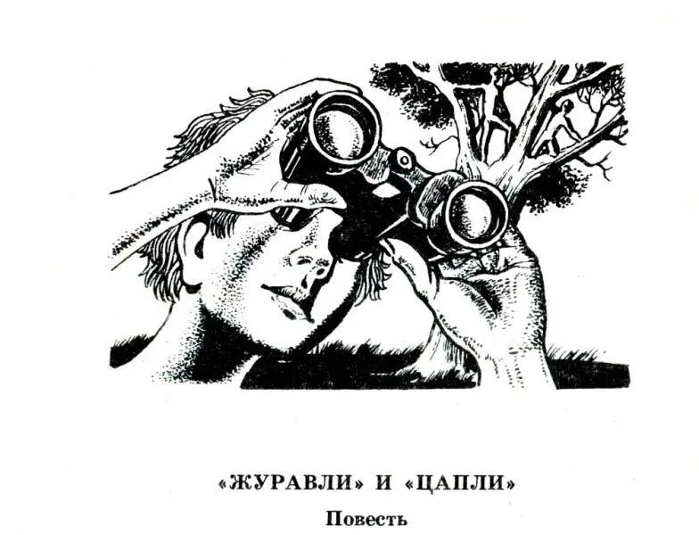 ЖУРАВЛИ И ЦАПЛИ Повесть Зарница Зарница военная наша игра Из песни - фото 5