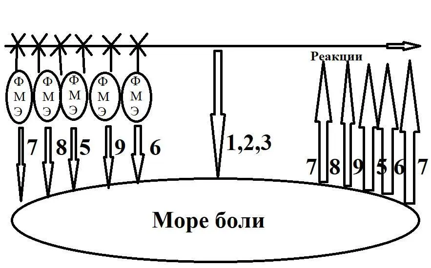 Вы можете найти огромное количество примеров вашей жизни Например вы едите с - фото 10