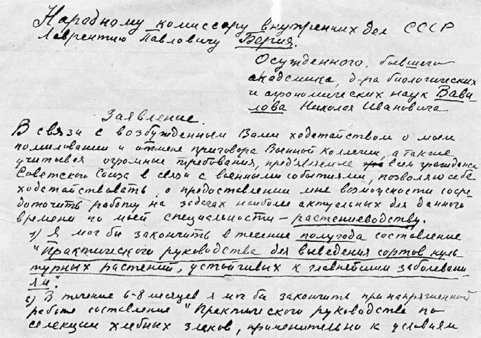 Письмо Вавилова Берии Елена Барулина с сыном Юрой 1941 год Т - фото 67