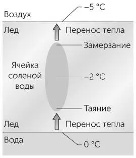 Рис 42 Задача 411Ячейка рассола двигающаяся вниз через слой льда к воде - фото 107