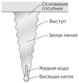 Рисунок 43 Задача 417Структура сосульки ОТВЕТ Про сосульки можно - фото 108