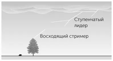 Рис 51 Задача 51 Затем по направлению к земле начинает распространяться - фото 119