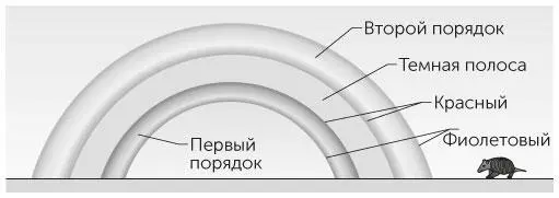 Рис 61 Задача 61 Преломление света и разложение его на цвета происходит - фото 127