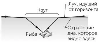 Рис 631 Задача 685Внешний свет достигает рыбы через круг у нее над - фото 158