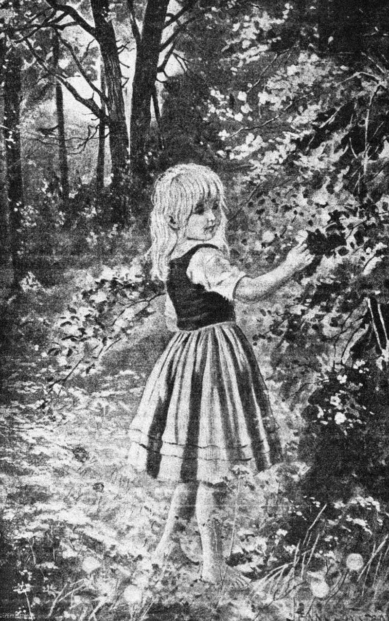 Лалли в лесу И под шум ее ветвей много и долго думала бедная девочка Она - фото 2