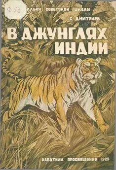 Сергей Дмитриев - В джунглях Индии [жизнь и приключения индуса Мукерджи]