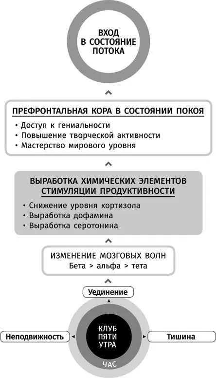 Состояние вселенского потока это вершина мозговой деятельности сказал он - фото 8
