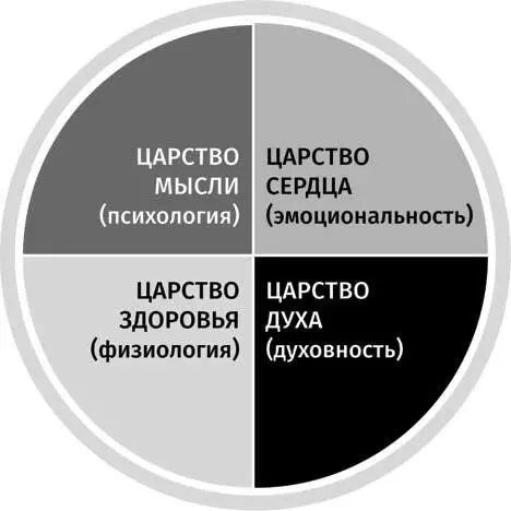 Вдали заиграла музыка это открылся рыбный ресторанчик Итальянский рокер - фото 9