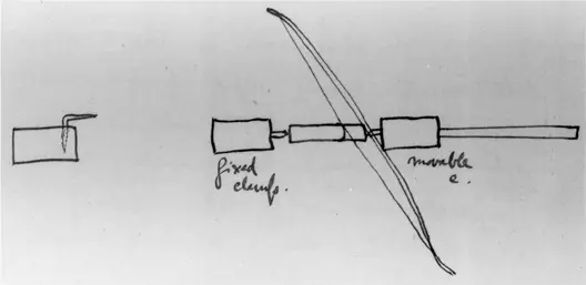 Апельсиновые деревья растущие здесь на улице дают несъедобные горькие плоды - фото 11