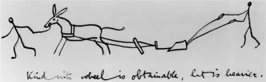 Апельсины практически созрели На днях съели несколько штук скорее - фото 18