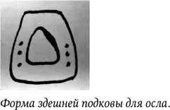 61238 Д Два яйца Ночи теперь определенно холодные 71238 Д Два яйца Вчера - фото 20