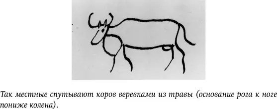 Увидел сегодня пару гнездящихся аистов Гнездо огромное примерно вдвое шире - фото 23