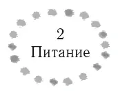 Помоему Хизер Морган была права Каждый раз когда вы чтото едите или - фото 9
