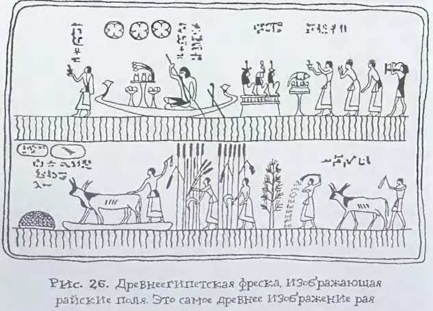 Рассмотрим подробнее что есть в буше Это луга редкие деревья в основном - фото 29
