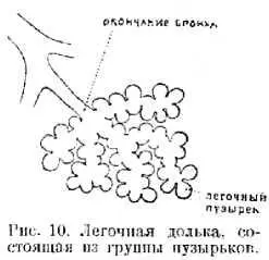Тебе случалось наверно чихать Конечно случалось Так вот если в нос - фото 28
