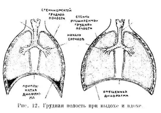 Но Надя не дала ему договорить Я знаю этот опыт и знаю как называется - фото 30