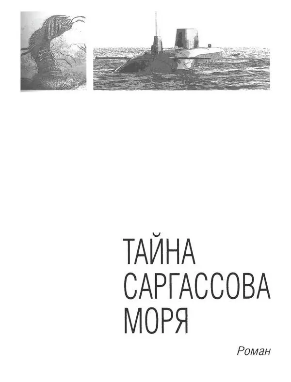 Роман Le secret des sargasses ГЛАВА І Бледнолицый О пределение земной - фото 10