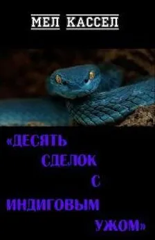 Мел Кассел - Десять сделок с индиговым ужом