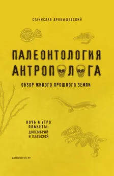 Станислав Дробышевский - Палеонтология антрополога. Книга 1. Докембрий и палеозой [litres]