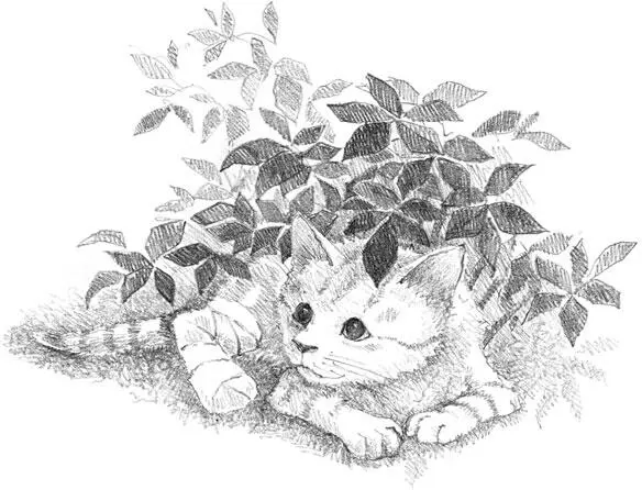 Holly Webb THE ÂRAVE KITTEN Text copyright Holly Webb 2014 Illustrations - фото 1