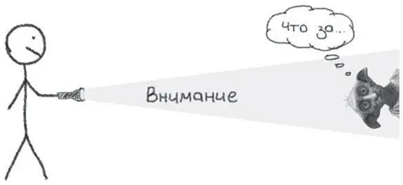 Рис 111 Лучик сознания Есть мнение что внимание подчиняется древним частям - фото 164