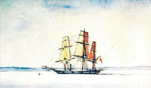 Пароход Ариэль HMS Ariel TNA ADM 3441934 За 9 часов с парохода по - фото 98