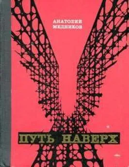 Анатолий Медников - Путь наверх