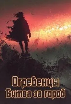 Денис Петриков - Битва за город [СИ]