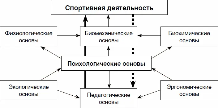 Рис 11 Функциональная связь научных основ спорта С 2030х годов XX - фото 1
