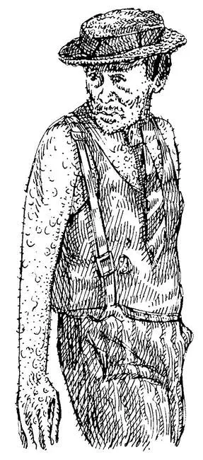 Они за нами не погонятся озабоченно спросил Паниковский Почему толпа - фото 25