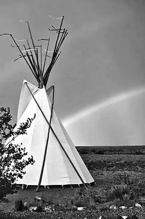 Рис 161 Конструктивная схема и современная имитация tipi Впервые увиденные - фото 92