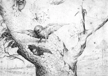 Рис 40 Рисунки и карандашные штудии Босха уникальны атмосферны - фото 48