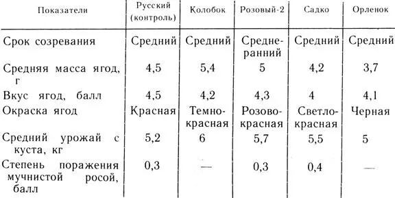 Таблица 4 Характеристика отдельных сортов крыжовника РАЗМНОЖЕНИЕ Крыжовник - фото 28