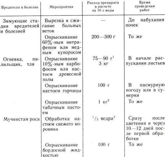 Таблица 5 Меры борьбы с вредителями и болезнями крыжовника 1 3 кг древесной - фото 30