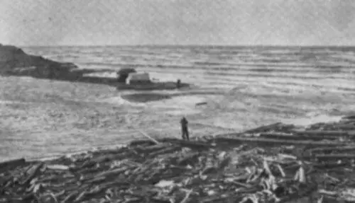 Дар моря плавник Пасти ставят преимущественно вдоль морского берега или в - фото 33