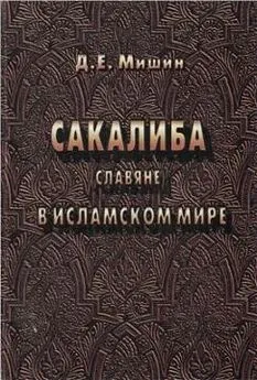 Дмитрий Мишин - Сакалиба