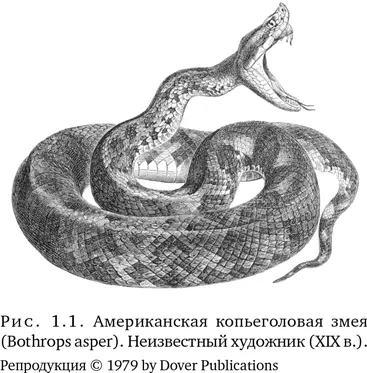 Научное исследование это как правило монотонная однообразная работа - фото 3