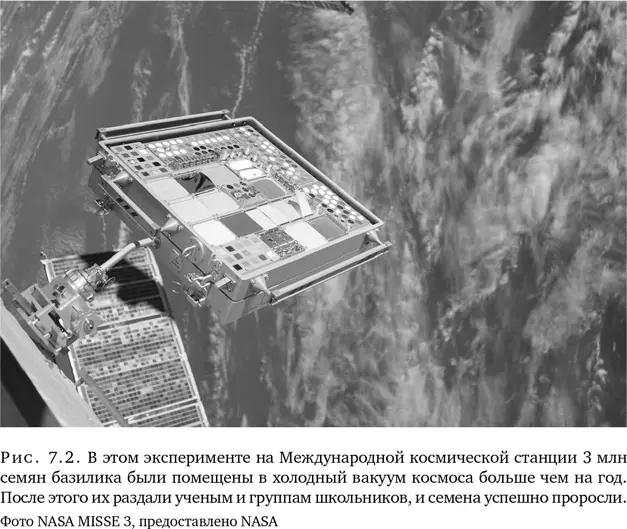 Если Крис права то семенные банки будут играть важнейшую роль в эпоху - фото 19