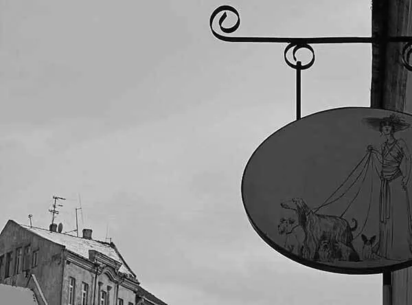 Гости Две горсти гороха одна морского песка Правила джиннов - фото 43