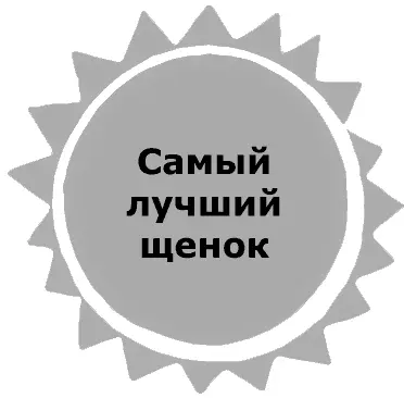 САМЫЙ ЛУЧШИЙ ЩЕНОК Неприятности изза Барбоса начались у Васьки сразу же как - фото 35