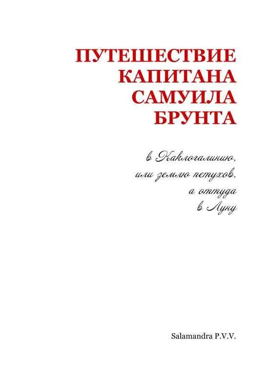 ПУТЕШЕСТВИЕ КАПИТАНА САМУИЛА БРУНТА Описывающие нам о своих путешествиях - фото 2