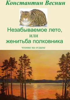 Константин Веснин - Незабываемое лето, или Женитьба полковника