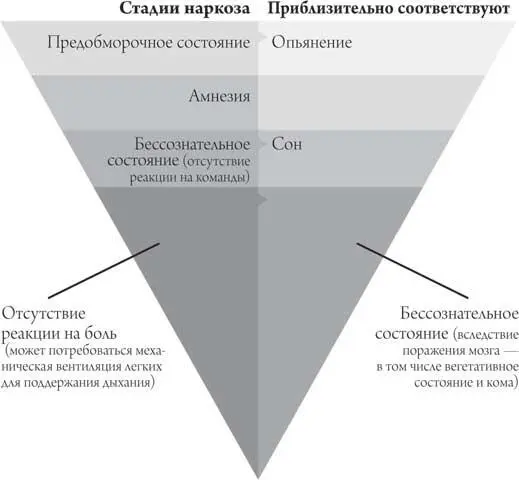 Рис 81 Вы засыпаете потеря сознания под наркозом это не столько щелчок - фото 6