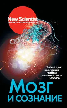 Коллектив авторов - Мозг и сознание [Разгадка величайшей тайны человеческого мозга] [litres]