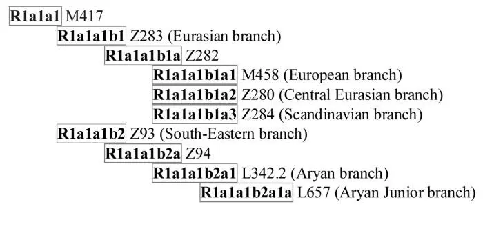 Естественно этих сведений не было в обсуждаемой статье ArunKumar et al - фото 76