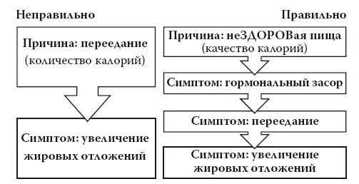 Рис 114 Теперь когда мы разобрали каждый из мифов о калориях мне бы - фото 29