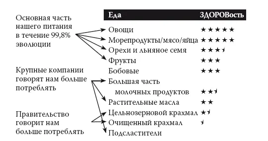 Рис 121 Источники наших проблем с весом Почему правительственные - фото 31